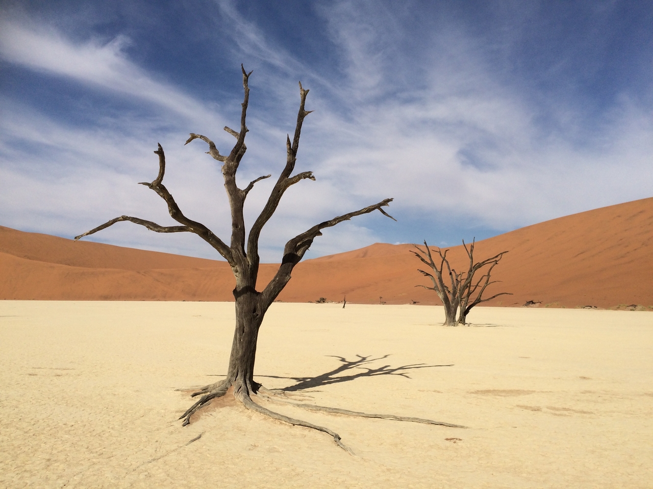 [15377] 2016_06_25_05_22_42_Africa_iPhone_5s_IMG__06177.jpg