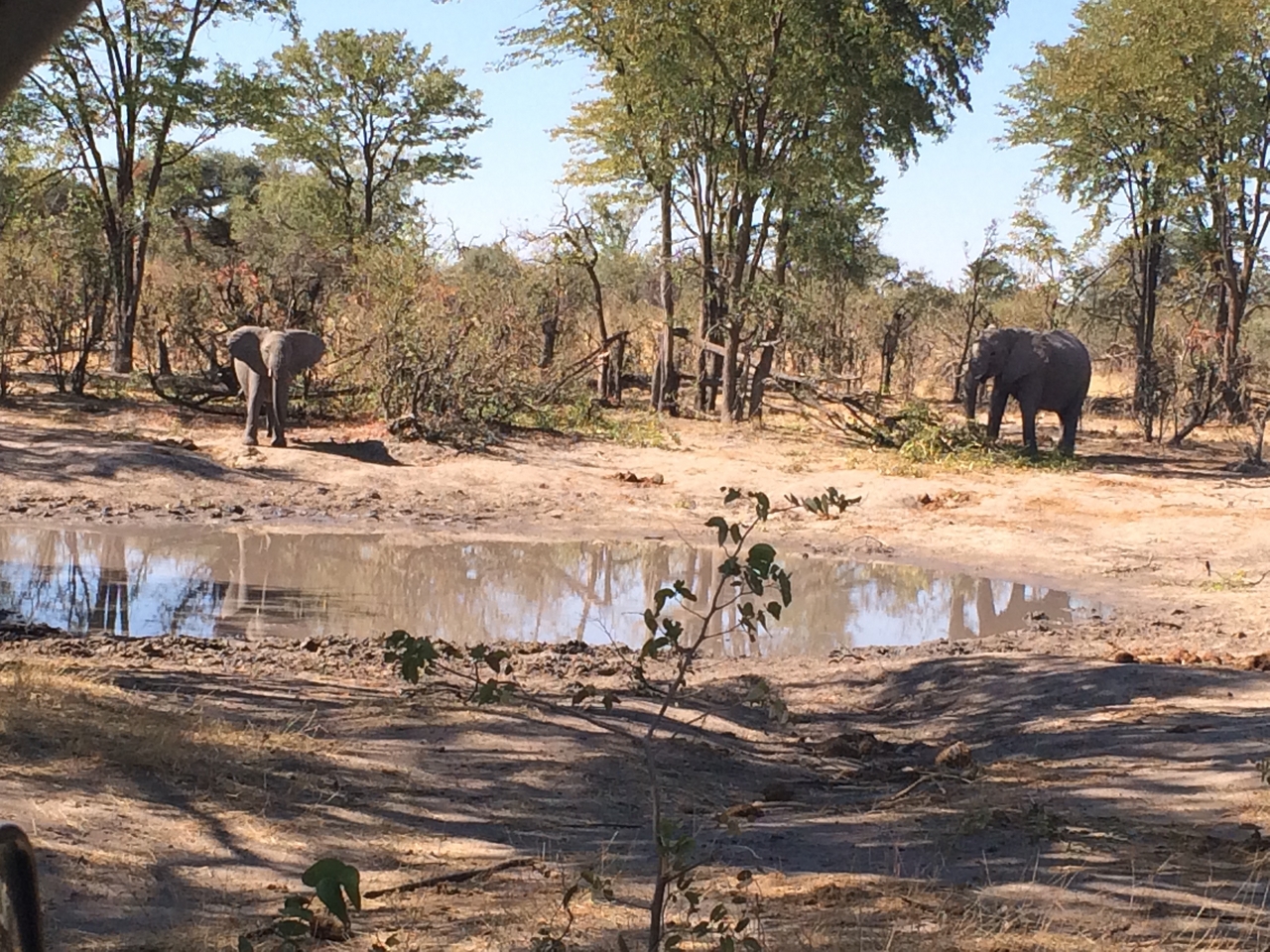 [16817] 2016_06_27_07_51_35_Africa_iPhone_5s_IMG__00706.jpg