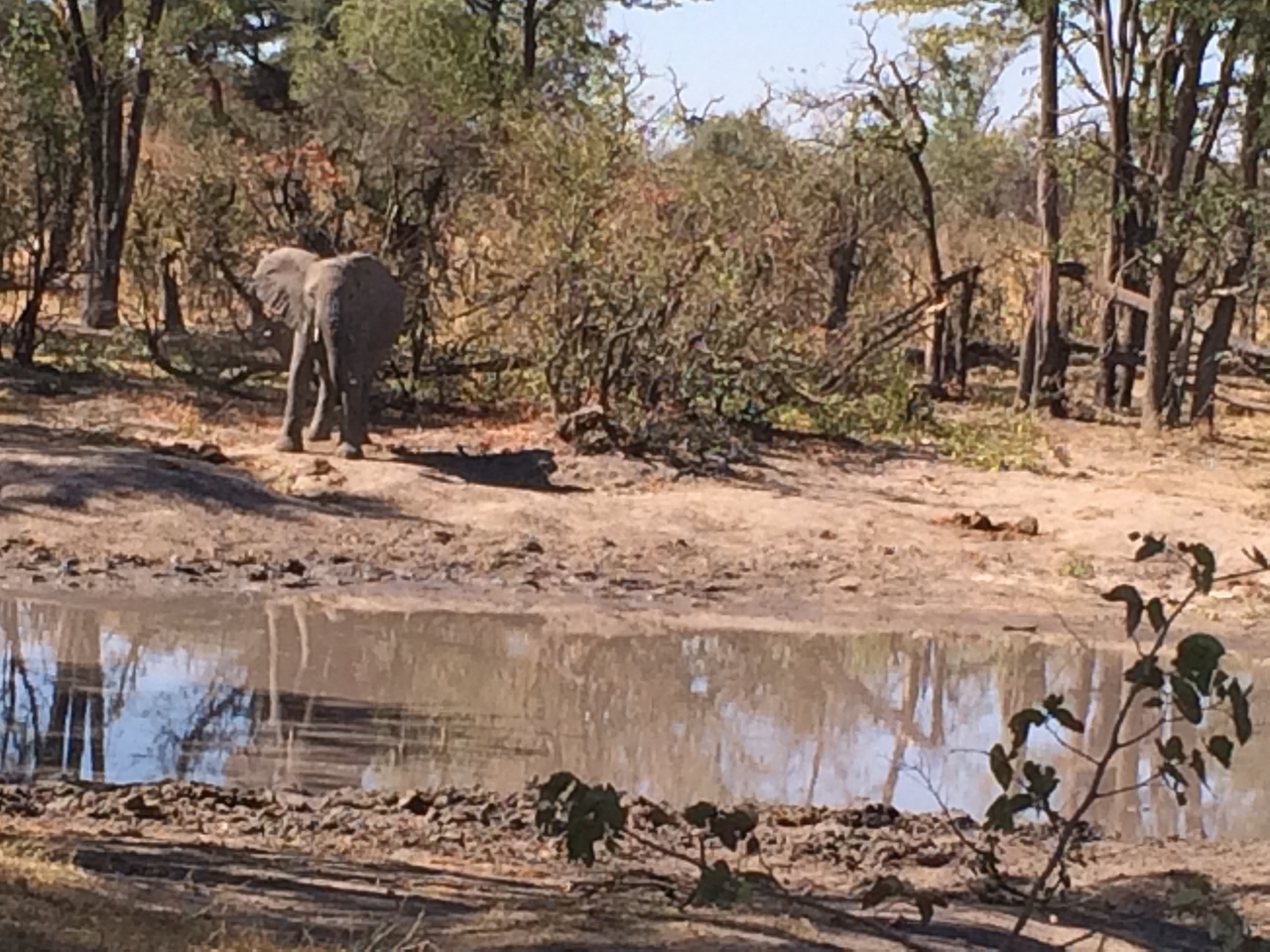[16843] 2016_06_27_07_51_58_Africa_iPhone_5s_IMG__06323.jpg