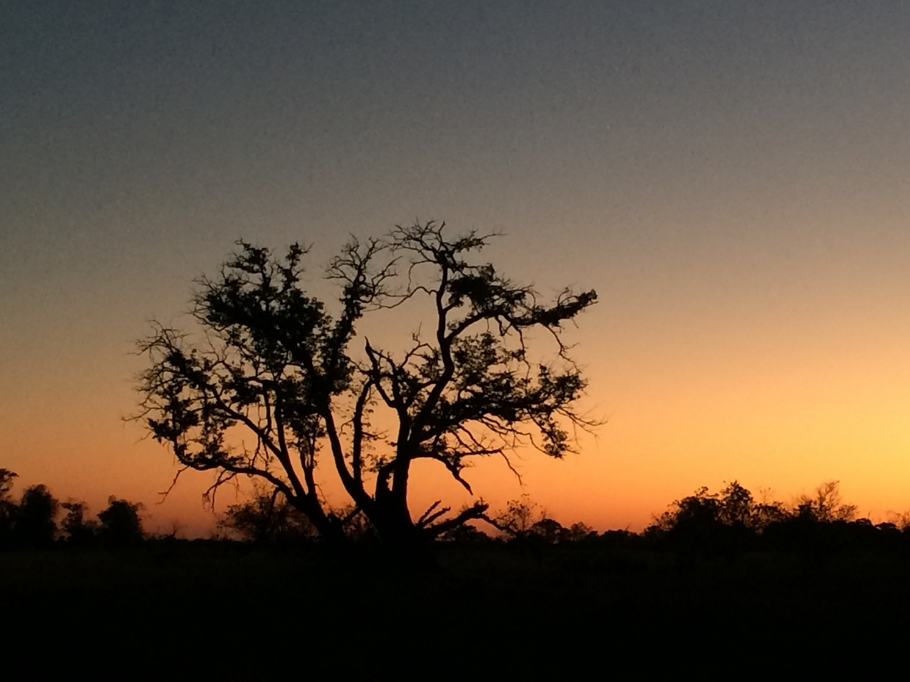 [17172] 2016_06_27_12_22_48_Africa_iPhone_5s_IMG__00748.jpg