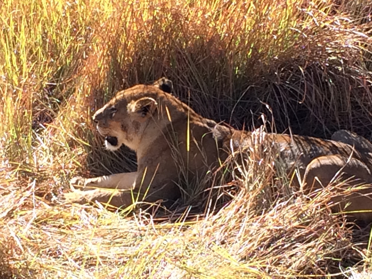 [18985] 2016_06_28_04_20_58_Africa_iPhone_5s_IMG_8475_00759.jpg