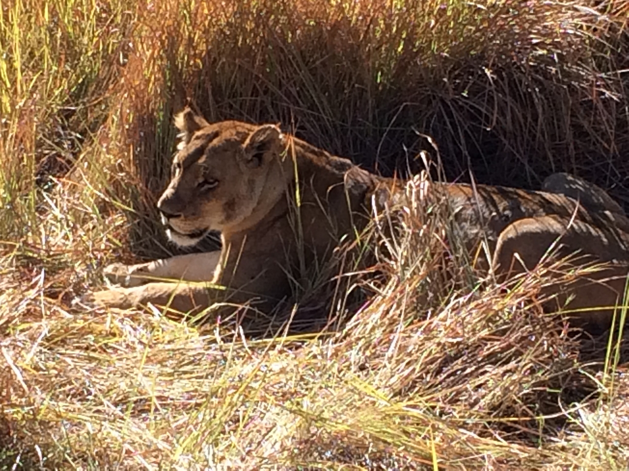 [19025] 2016_06_28_04_22_03_Africa_iPhone_5s_IMG_8480_06379.jpg