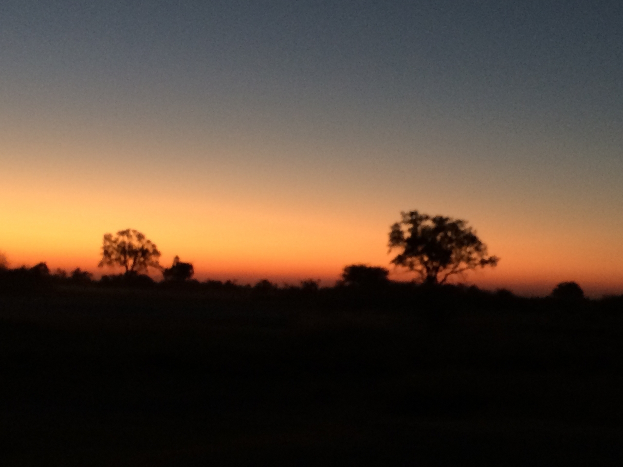 [22172] 2016_06_29_12_25_33_Africa_iPhone_5s_IMG_8521_06420.jpg
