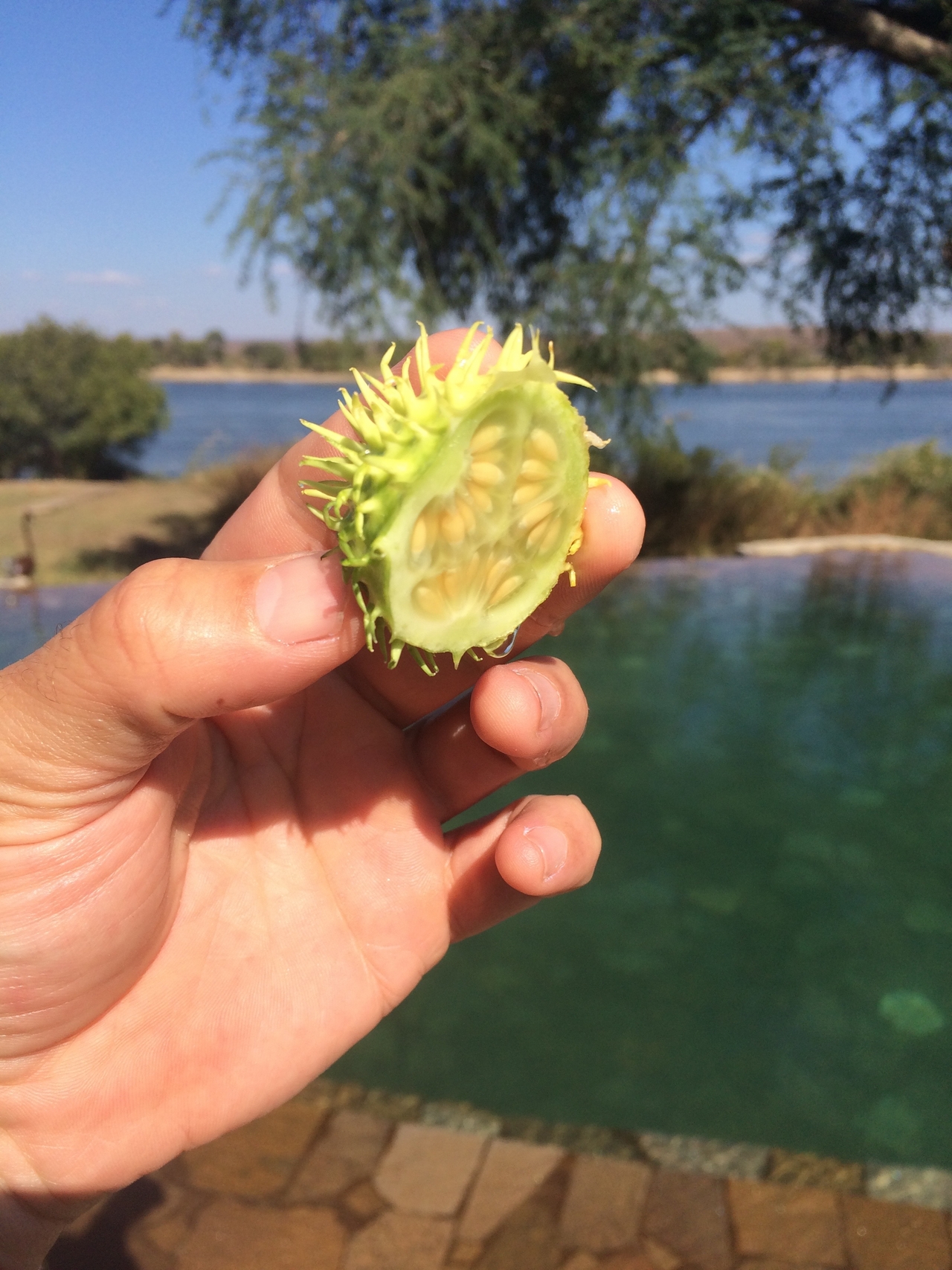 [33128] 2016_07_04_08_21_30_Africa_iPhone_5s_IMG__00912.jpg