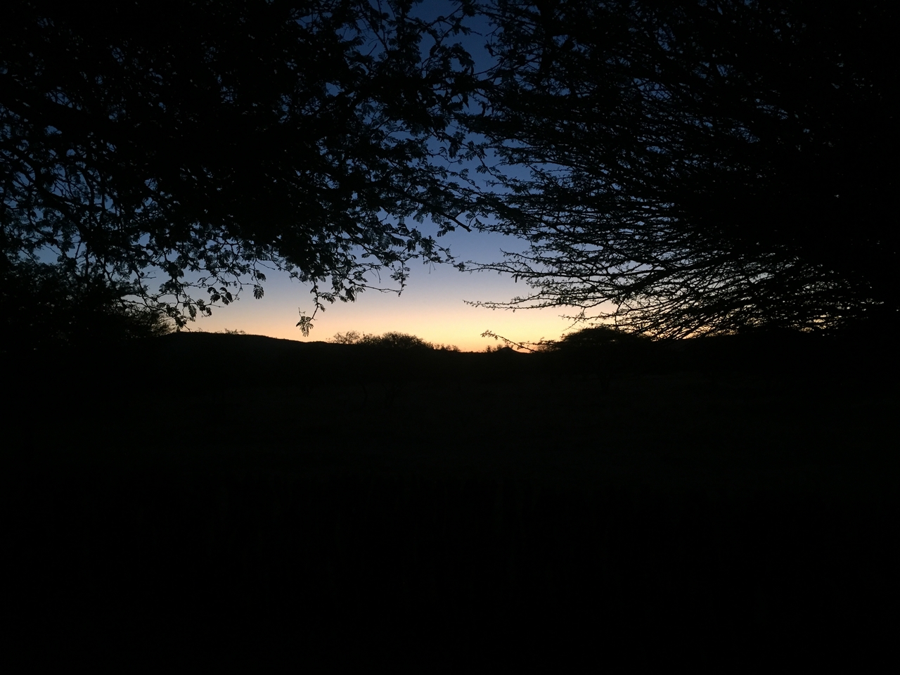 [2203] 2016_06_22_06_03_06_Africa_iPhone_6_IMG_7570_02508.jpg