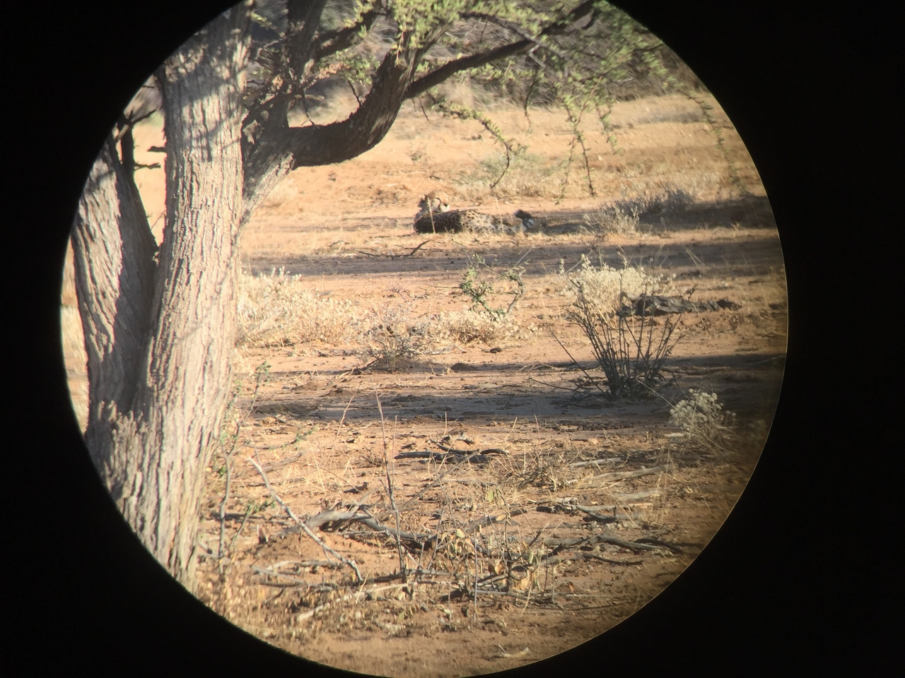 [2317] 2016_06_22_07_43_39_Africa_iPhone_6_IMG_7574_00171.jpg
