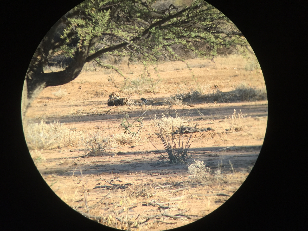 [2322] 2016_06_22_07_43_48_Africa_iPhone_6_IMG_7575_00172.jpg