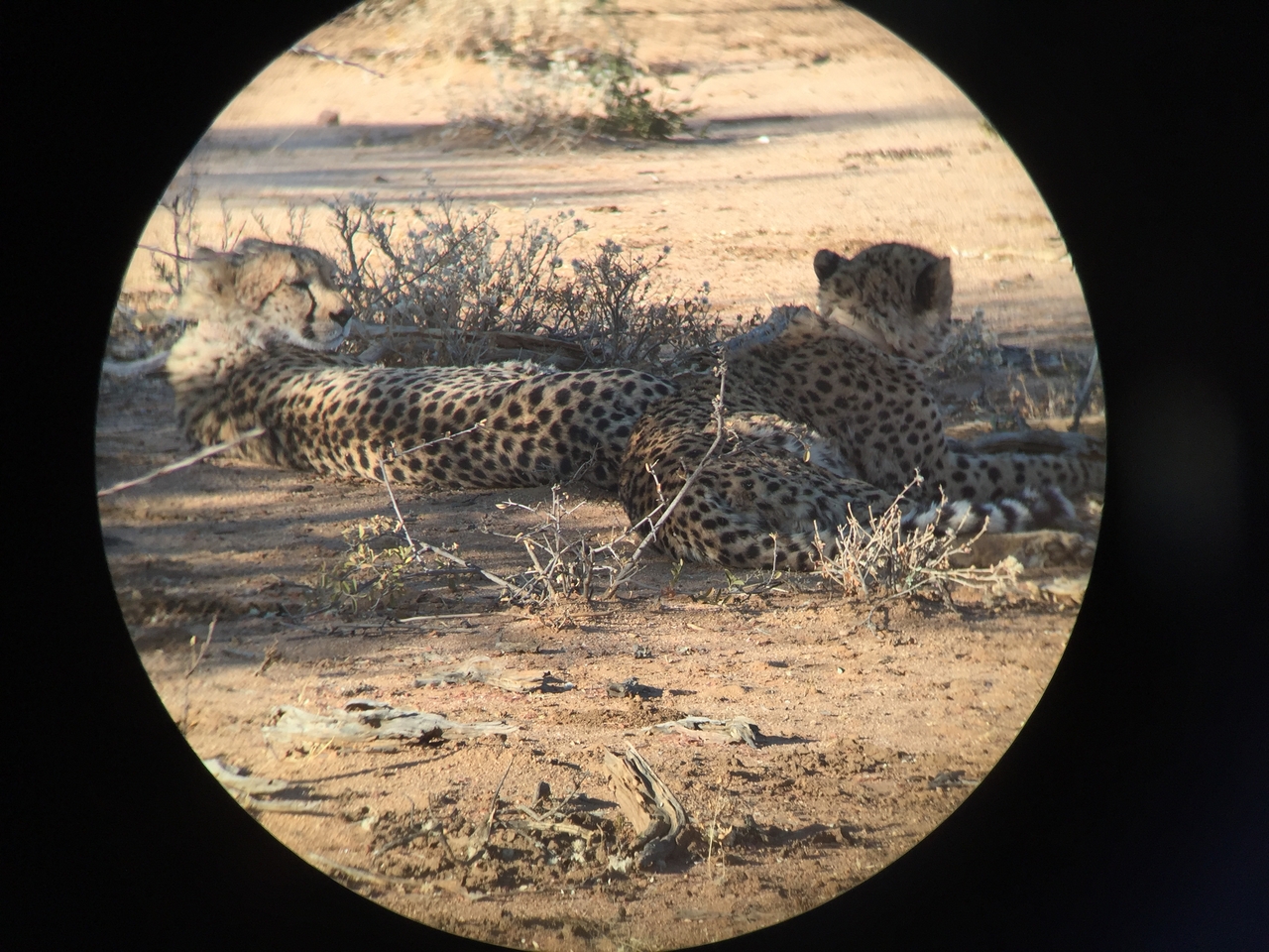 [2400] 2016_06_22_08_00_08_Africa_iPhone_6_IMG_7613_02547.jpg