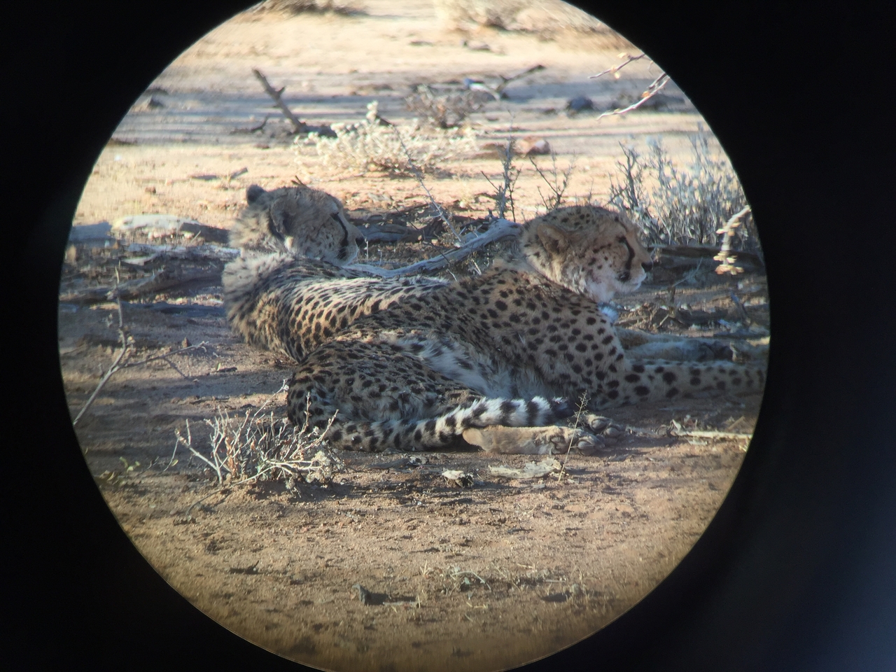 [2412] 2016_06_22_08_02_37_Africa_iPhone_6_IMG_7619_02553.jpg