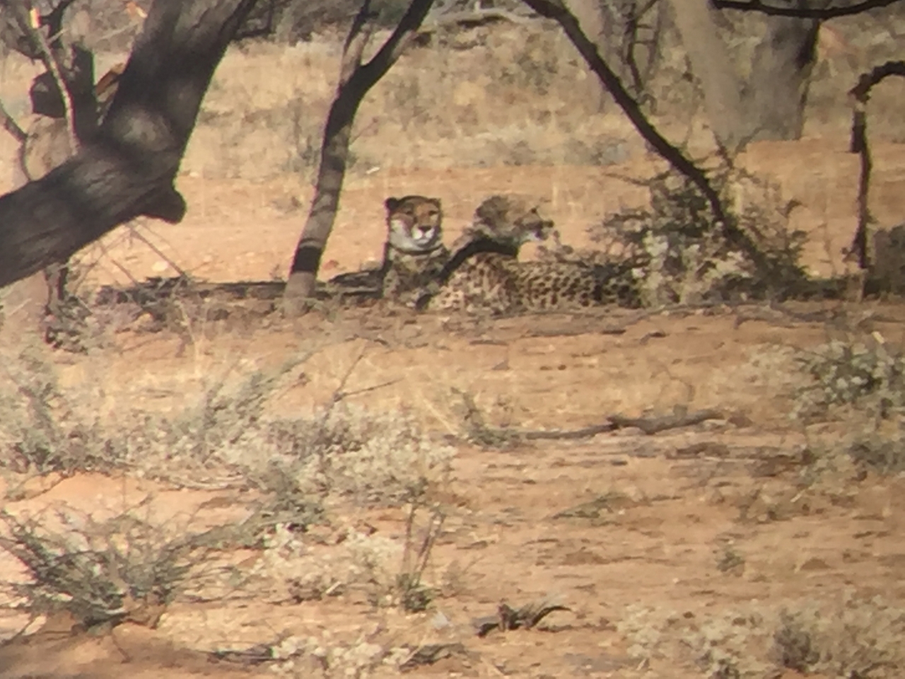[2468] 2016_06_22_08_23_33_Africa_iPhone_6_IMG_7649_02581.jpg
