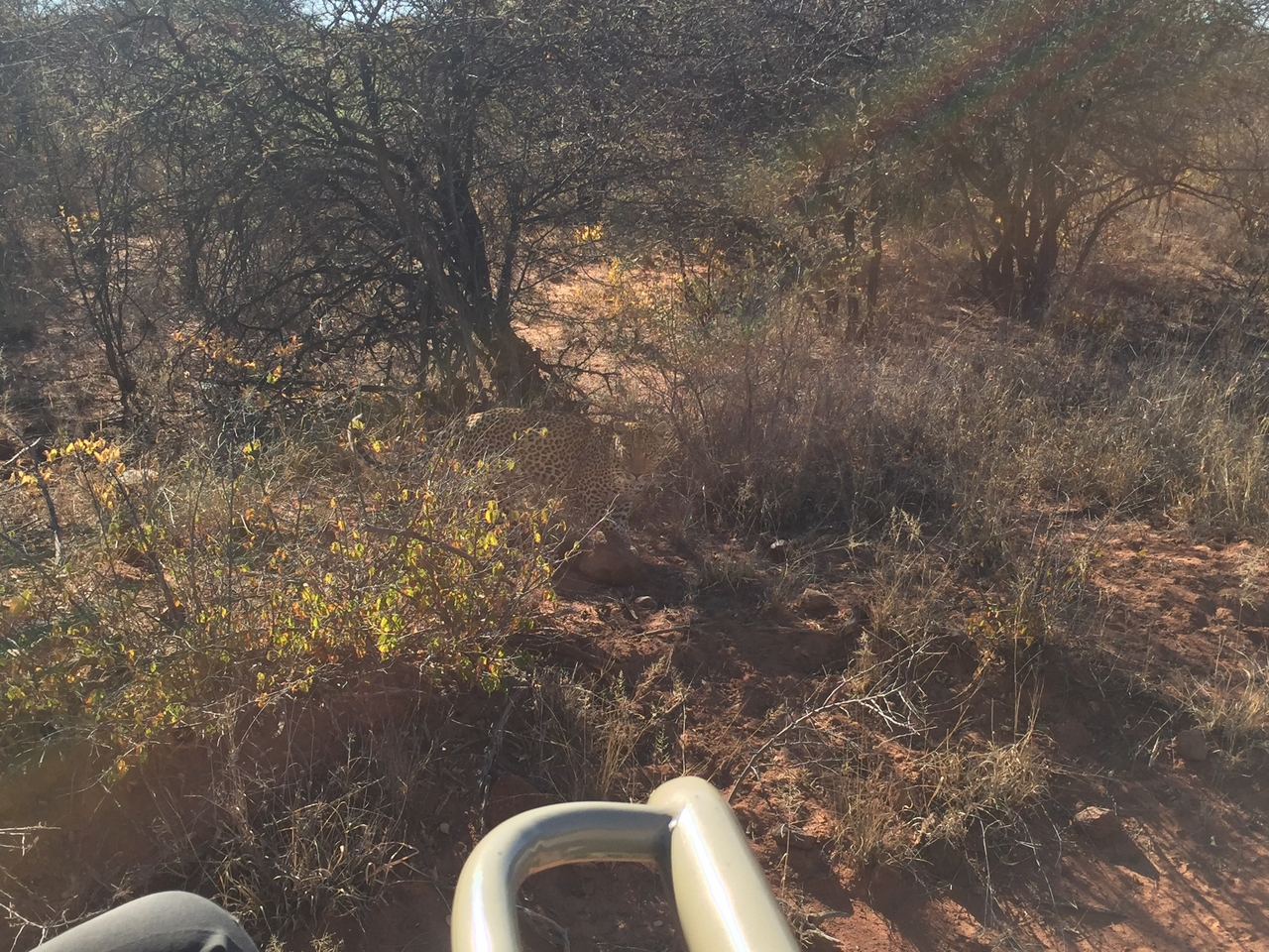 [2512] 2016_06_22_09_07_33_Africa_iPhone_6_IMG_7667_02599.jpg
