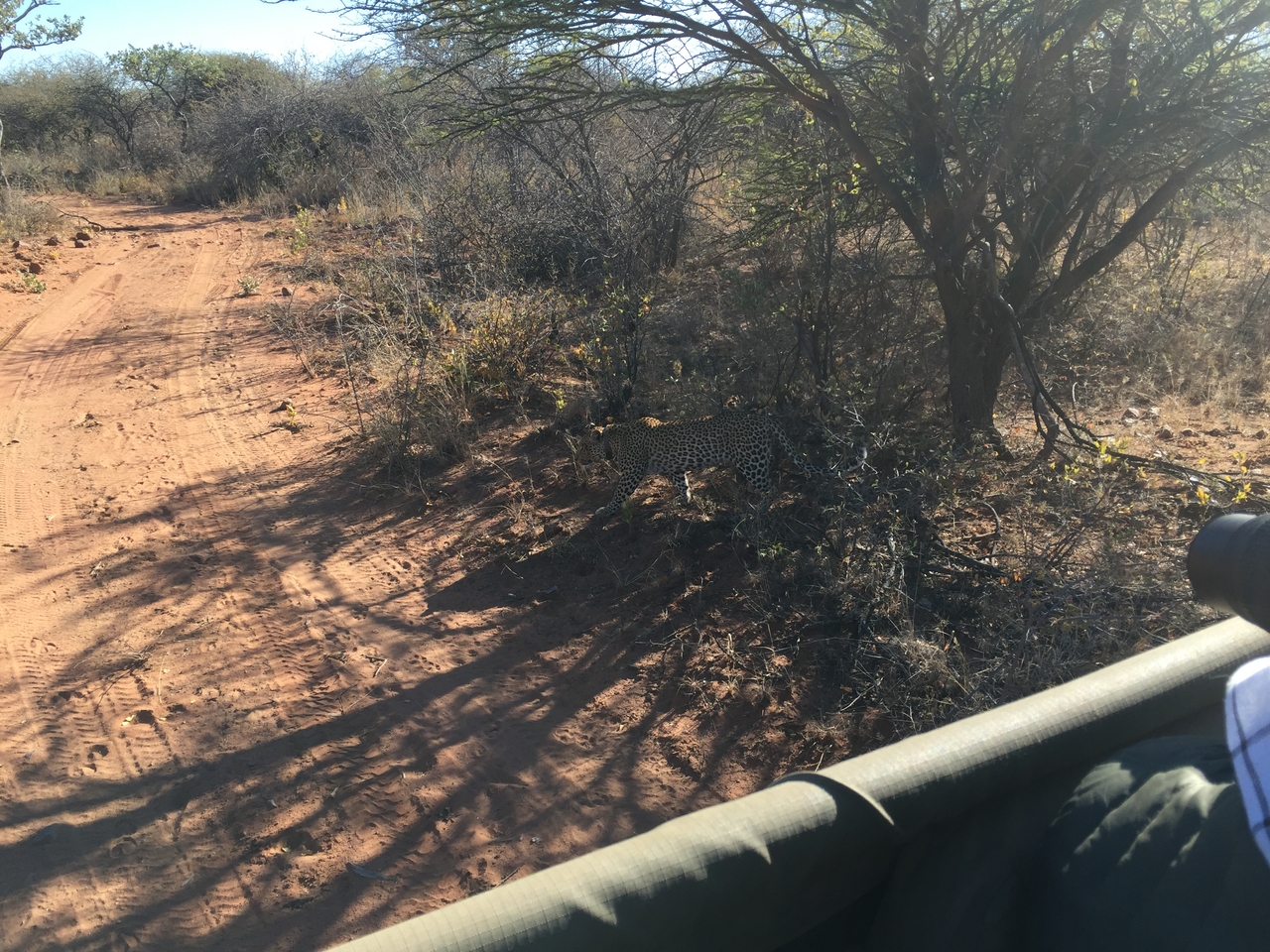 [2518] 2016_06_22_09_07_43_Africa_iPhone_6_IMG_7670_02602.jpg