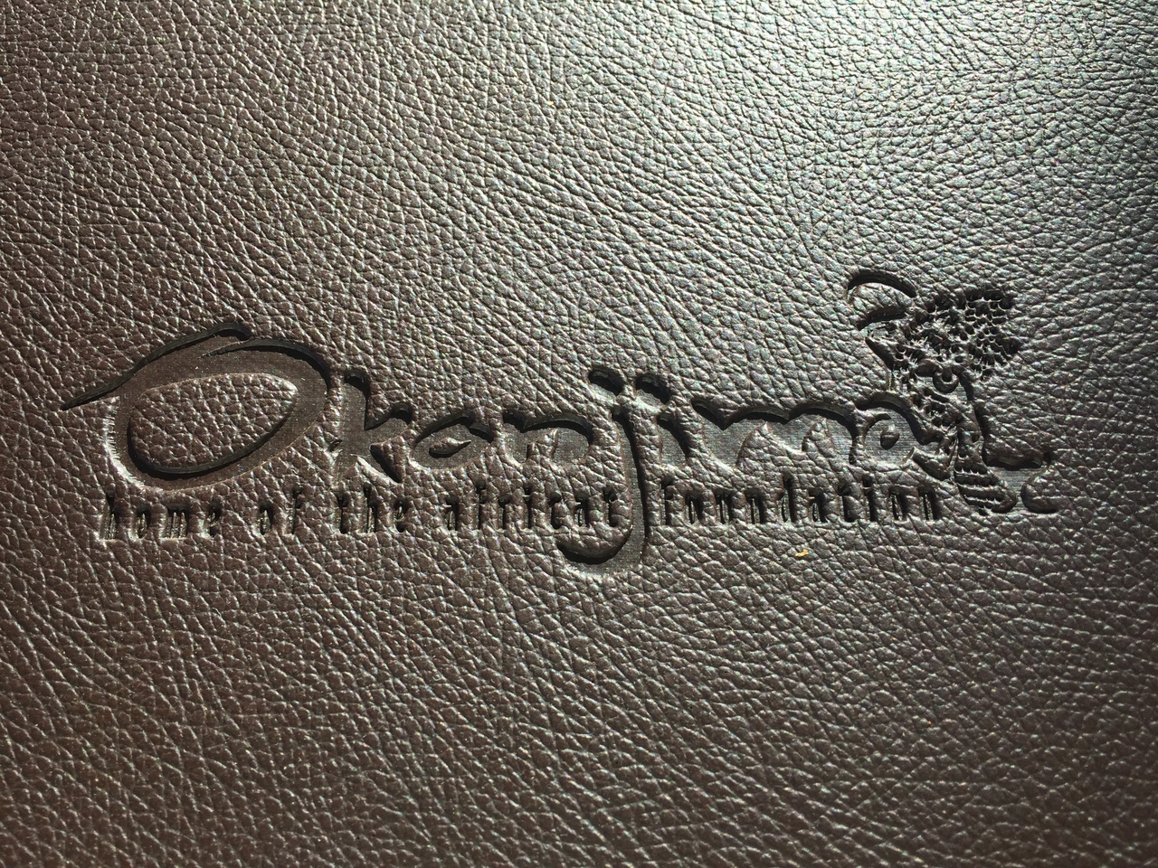 [3551] 2016_06_22_14_21_01_Africa_iPhone_6_IMG_7696_02627.jpg
