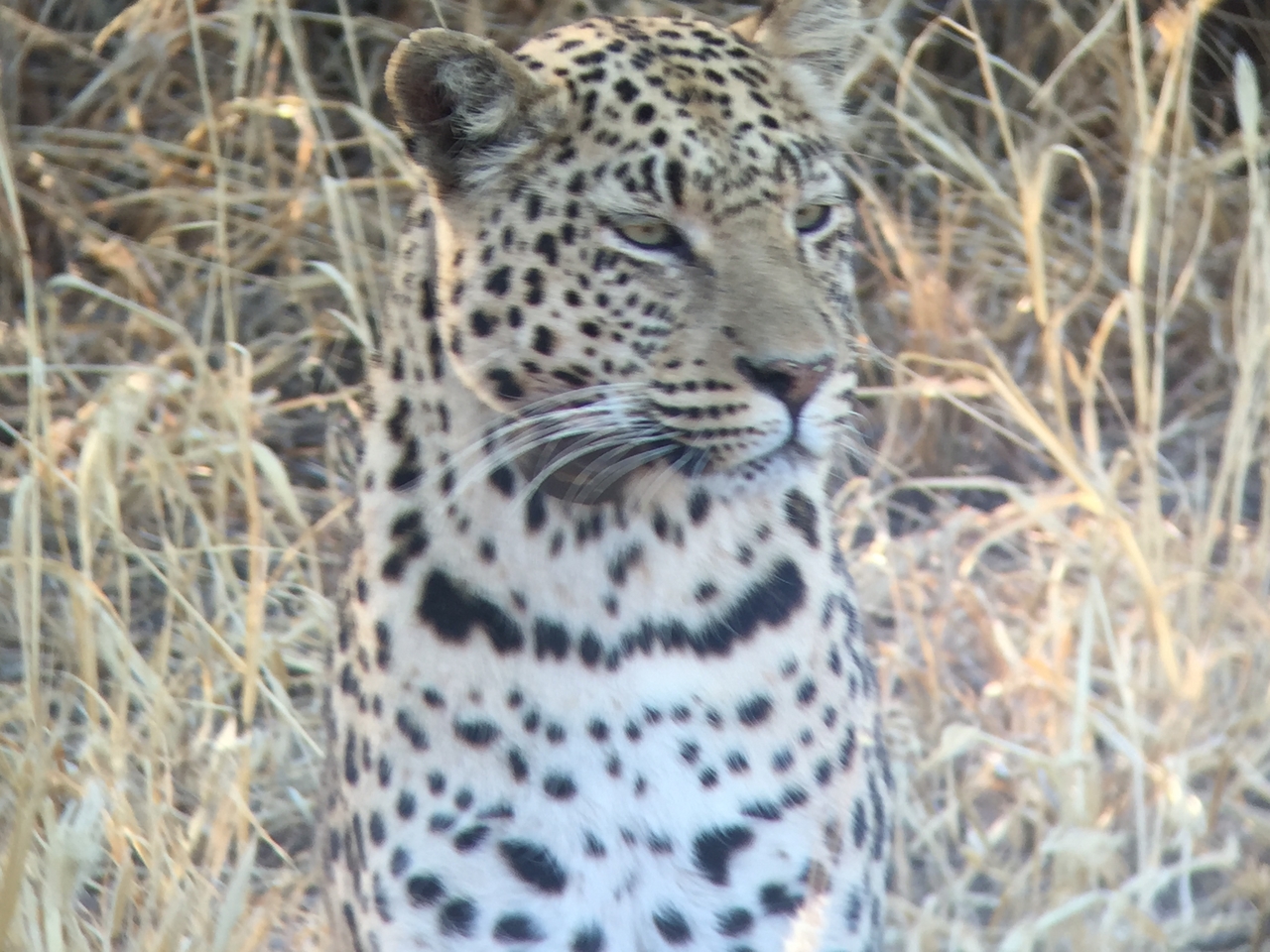 [3607] 2016_06_22_16_23_00_Africa_iPhone_6_IMG_7718_02649.jpg