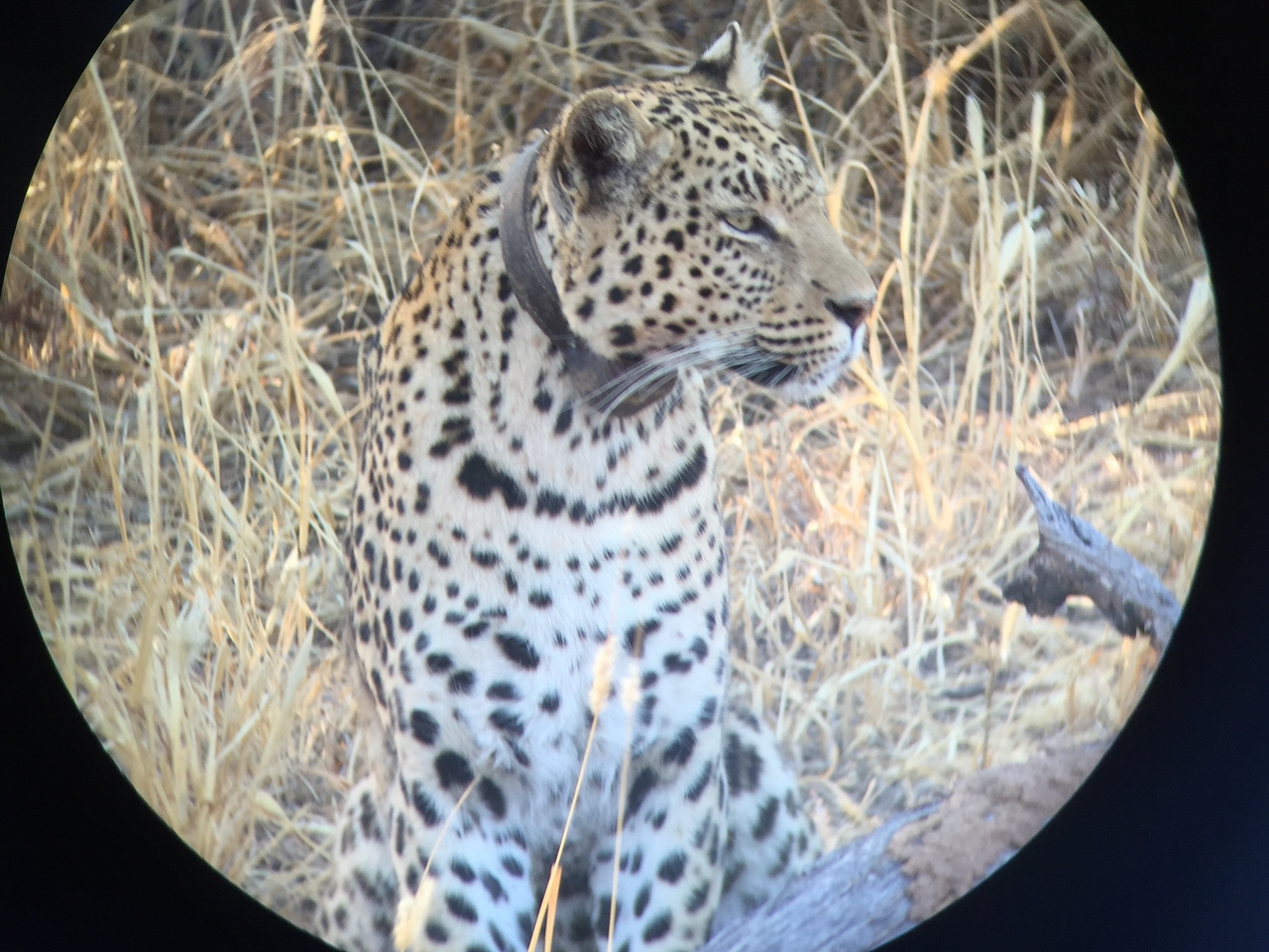 [3610] 2016_06_22_16_23_06_Africa_iPhone_6_IMG_7720_00310.jpg