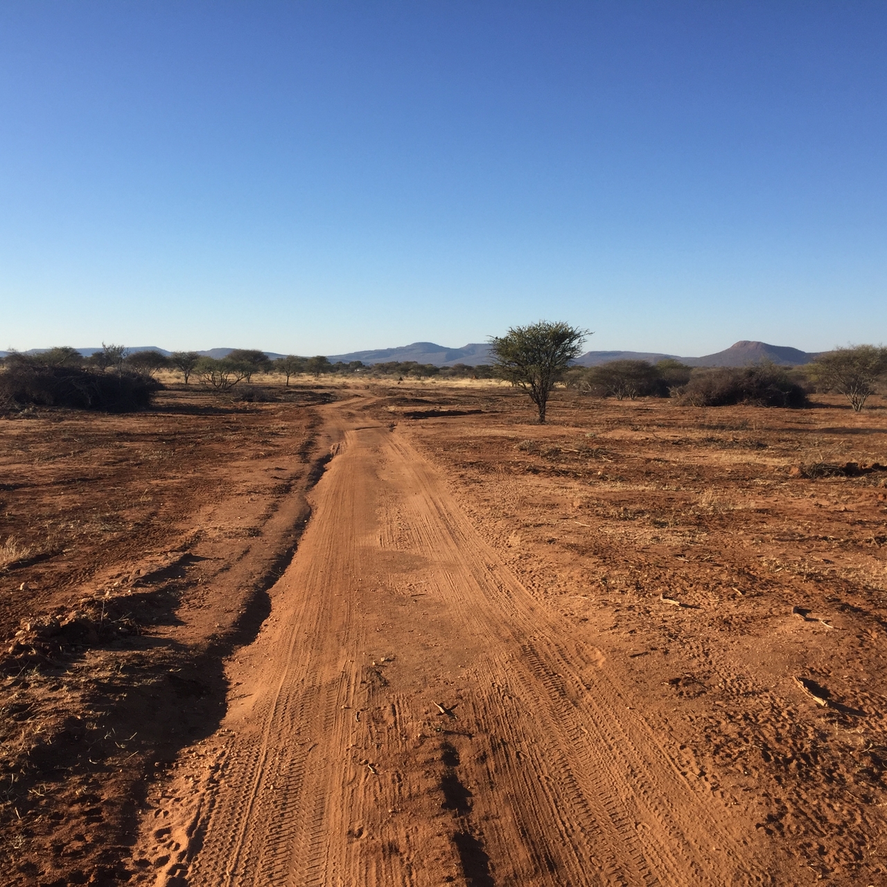 [5149] 2016_06_23_07_34_55_Africa_iPhone_6_IMG_7757_02685.jpg
