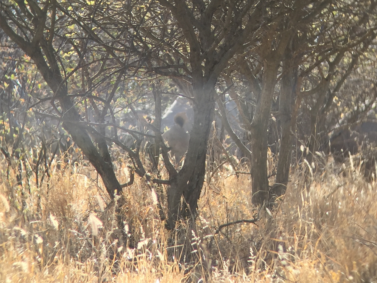 [5274] 2016_06_23_09_17_26_Africa_iPhone_6_IMG_7762_00349.jpg