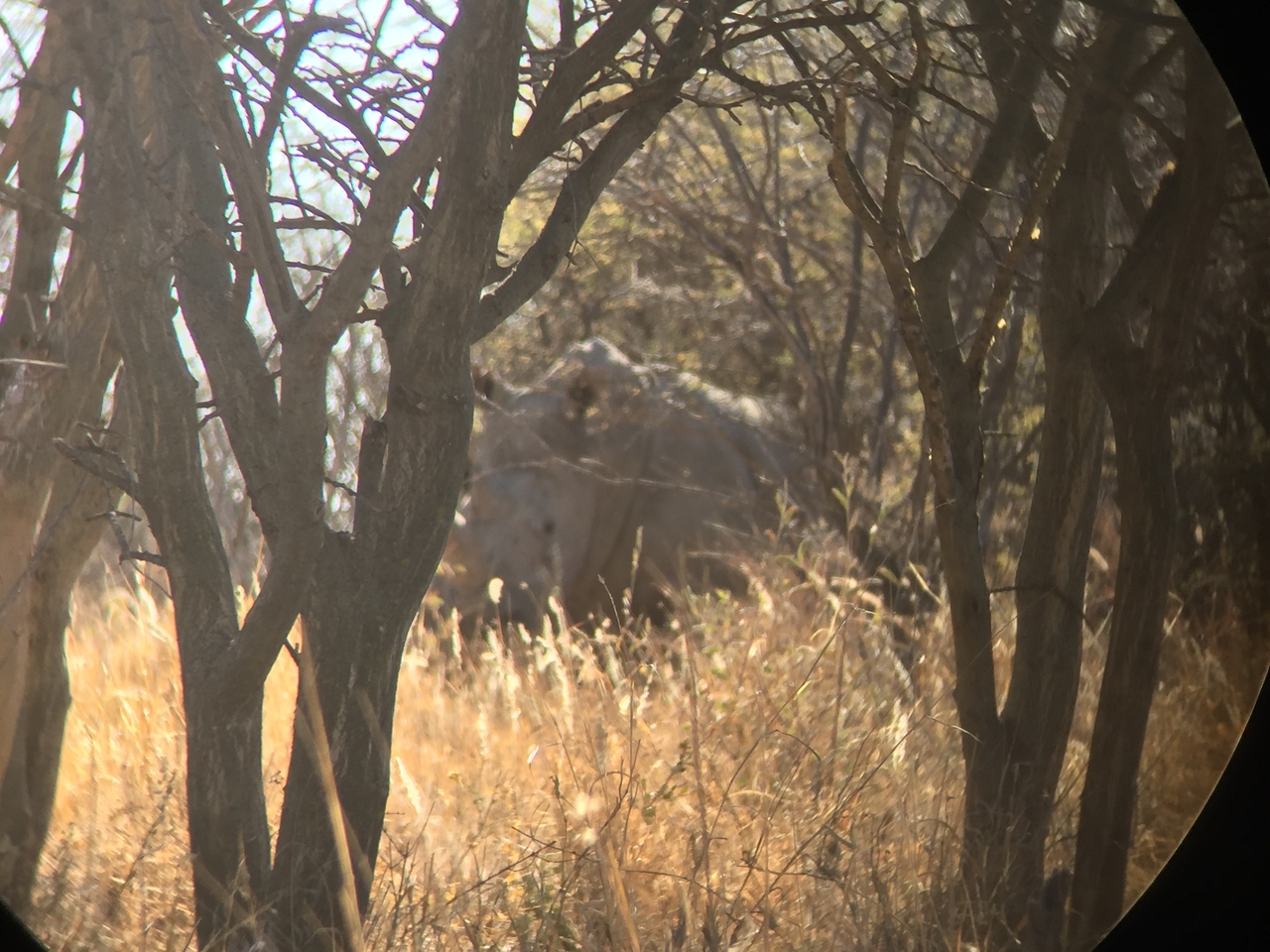 [5289] 2016_06_23_09_18_53_Africa_iPhone_6_IMG_7768_02696.jpg