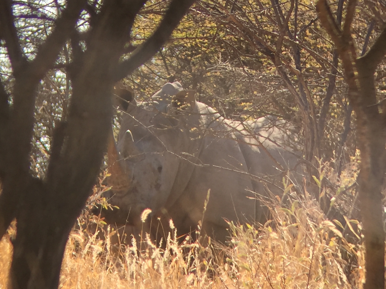 [5295] 2016_06_23_09_19_05_Africa_iPhone_6_IMG_7771_02699.jpg