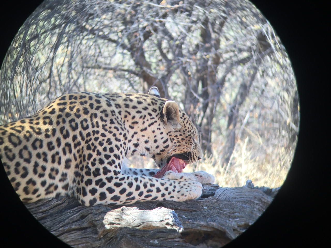 [9080] 2016_06_23_15_16_56_Africa_iPhone_6_IMG_7829_00415.jpg