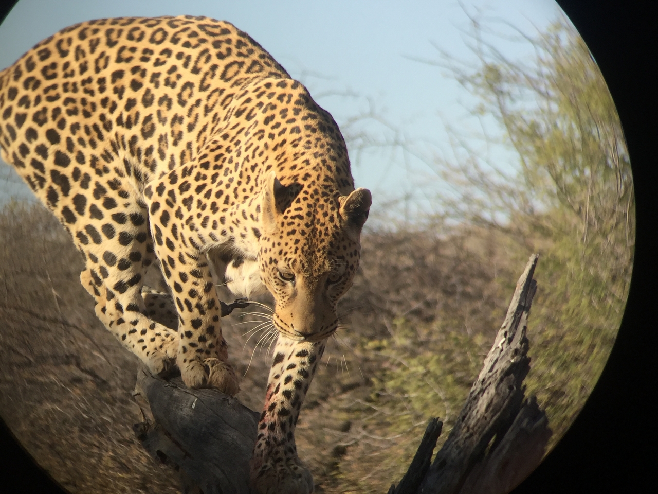 [9133] 2016_06_23_15_26_04_Africa_iPhone_6_IMG_7856_02782.jpg