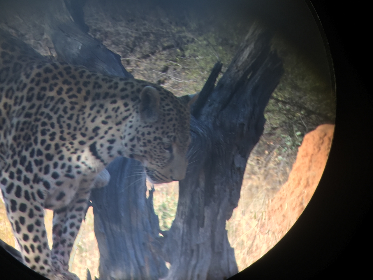 [9143] 2016_06_23_15_26_14_Africa_iPhone_6_IMG_7861_02787.jpg