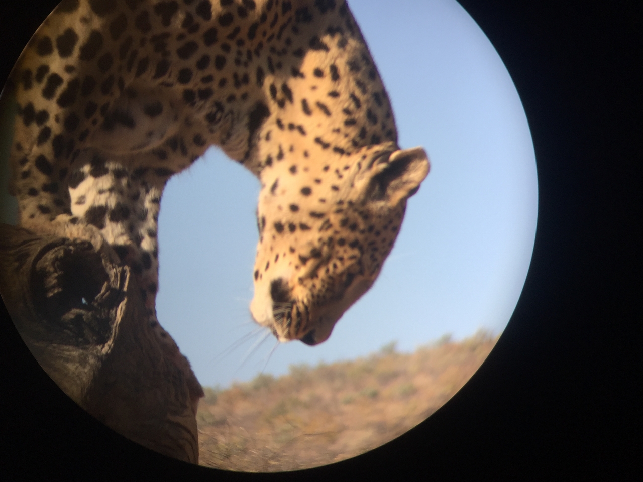 [9167] 2016_06_23_15_26_55_Africa_iPhone_6_IMG_7873_02799.jpg
