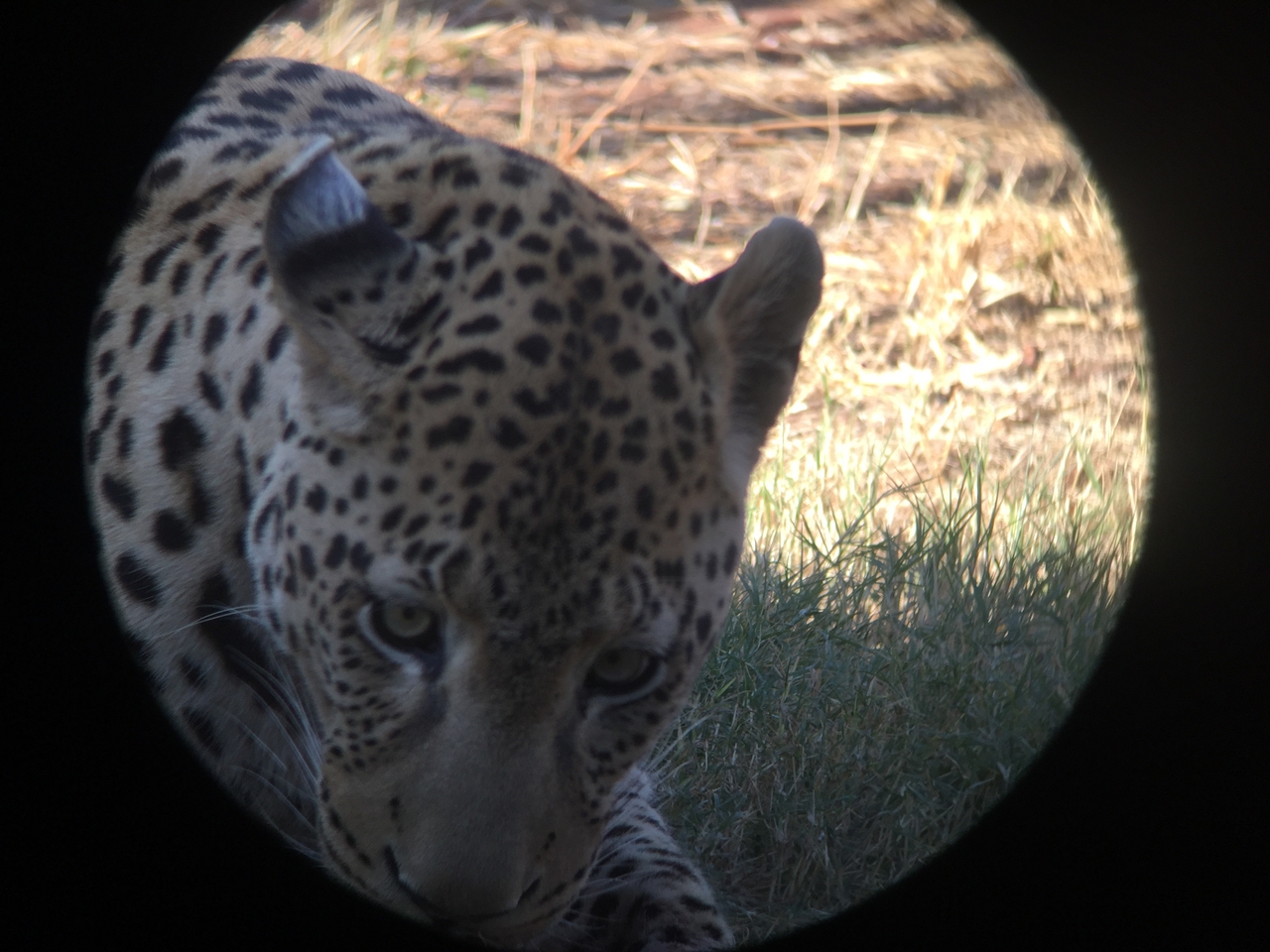 [9174] 2016_06_23_15_28_08_Africa_iPhone_6_IMG_7877_00462.jpg