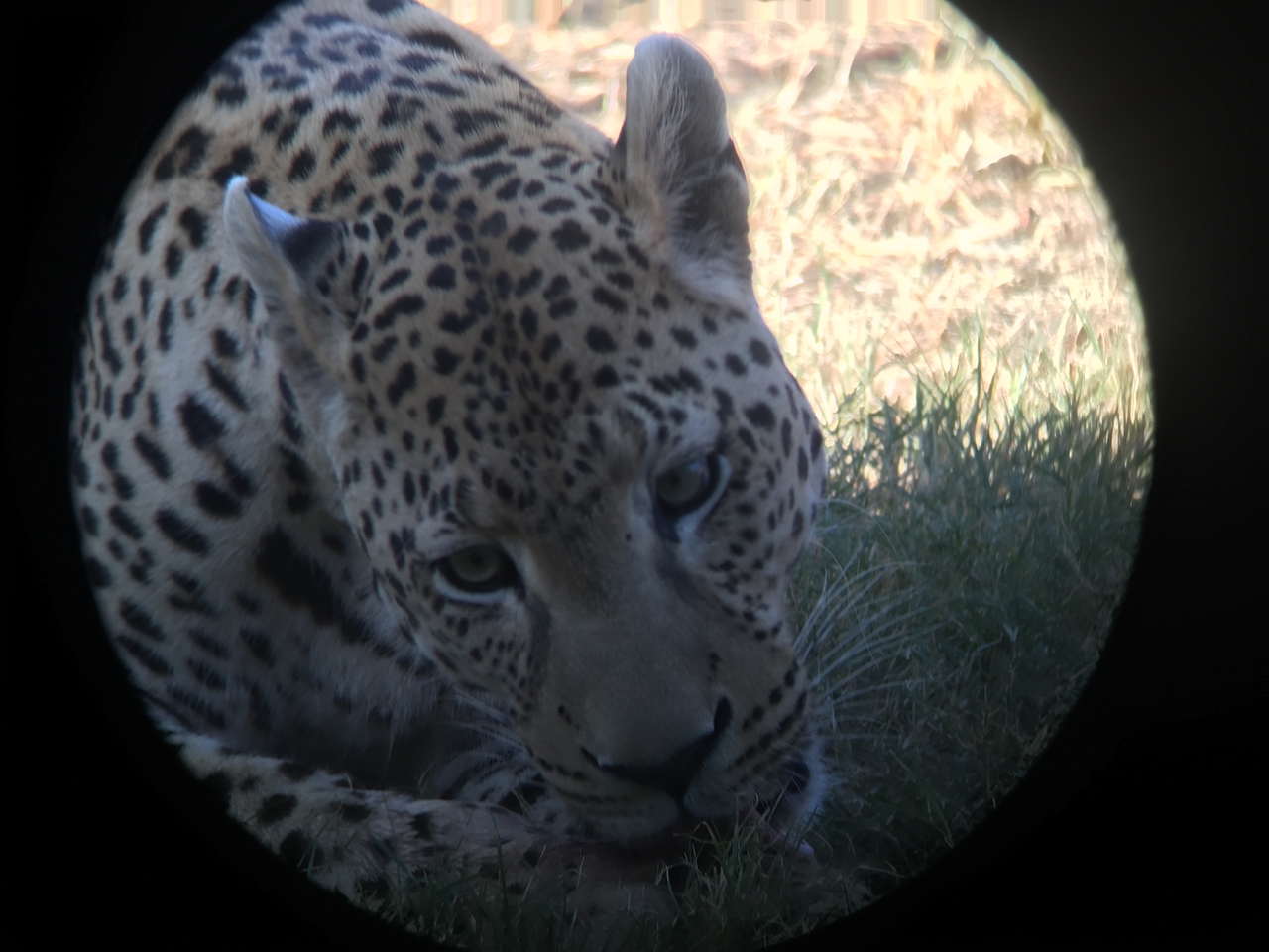 [9179] 2016_06_23_15_28_13_Africa_iPhone_6_IMG_7879_02805.jpg