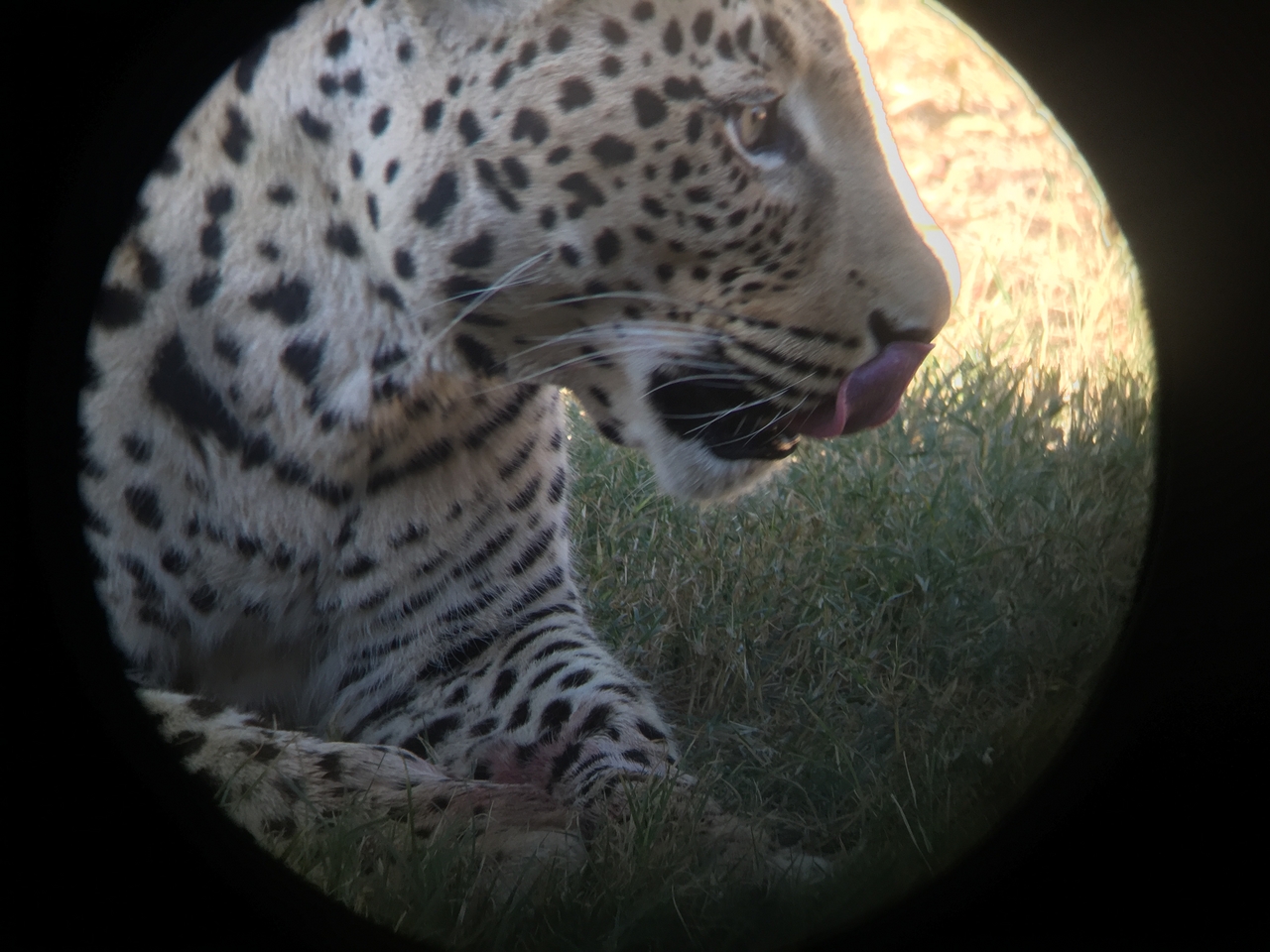 [9180] 2016_06_23_15_28_15_Africa_iPhone_6_IMG_7880_00465.jpg