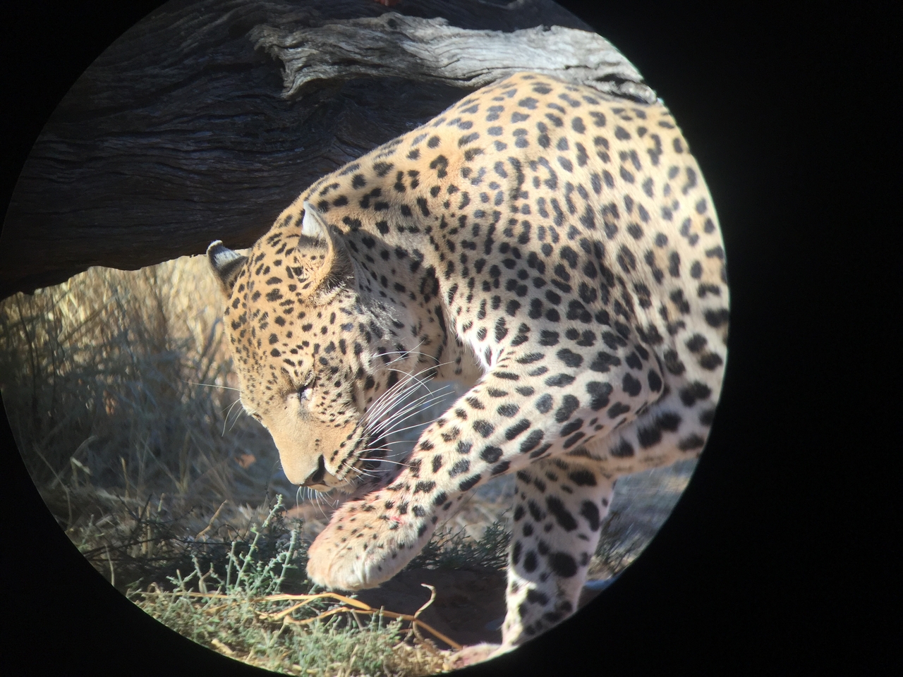 [9184] 2016_06_23_15_29_49_Africa_iPhone_6_IMG_7882_00467.jpg