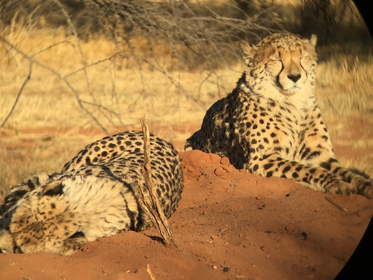 [9295] 2016_06_23_16_09_03_Africa_iPhone_6_IMG_7940_02863.jpg