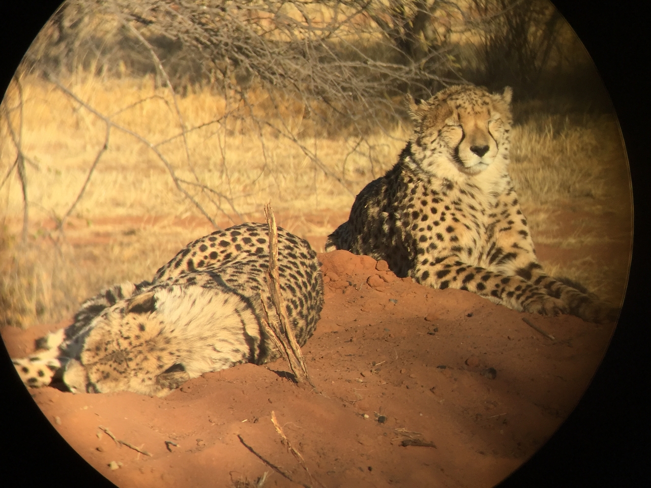 [9297] 2016_06_23_16_09_10_Africa_iPhone_6_IMG_7941_02864.jpg