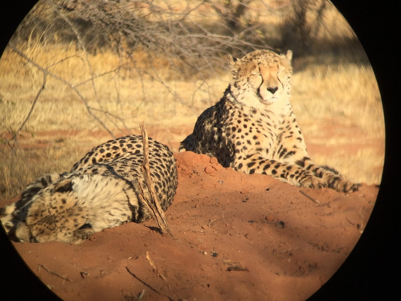 [9299] 2016_06_23_16_09_16_Africa_iPhone_6_IMG_7942_02865.jpg