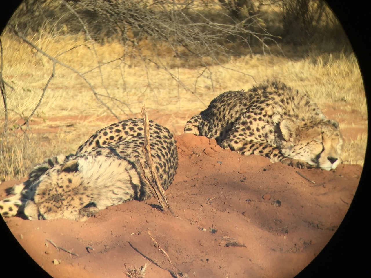 [9309] 2016_06_23_16_11_14_Africa_iPhone_6_IMG_7947_02870.jpg