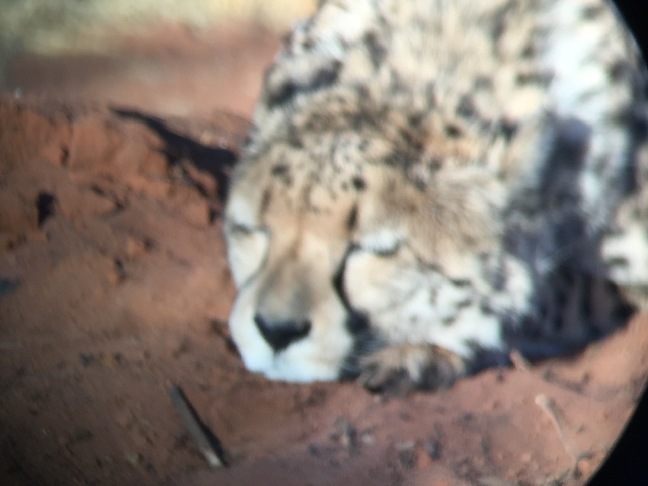 [9341] 2016_06_23_16_14_14_Africa_iPhone_6_IMG_7963_02886.jpg