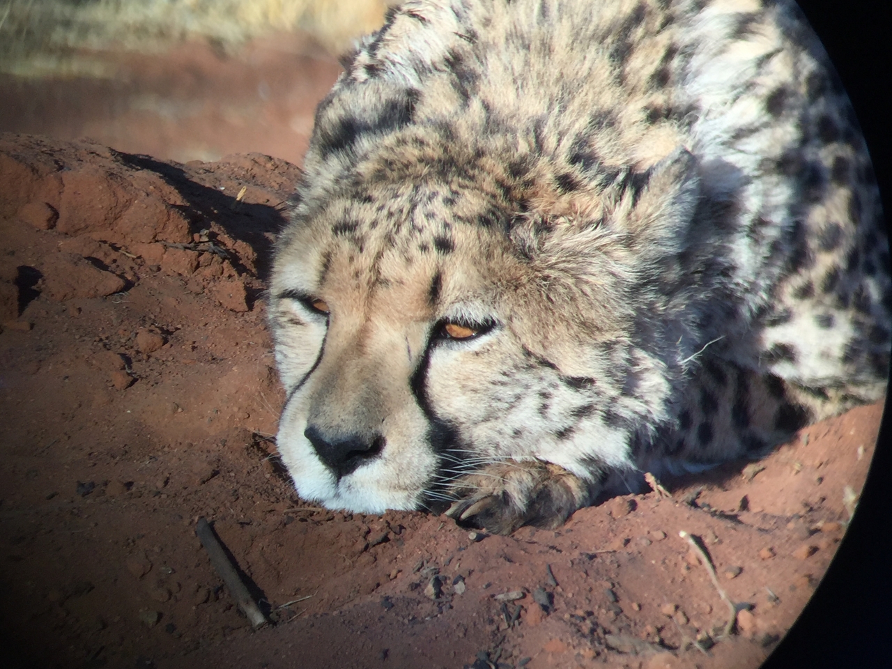 [9343] 2016_06_23_16_14_17_Africa_iPhone_6_IMG_7964_02887.jpg