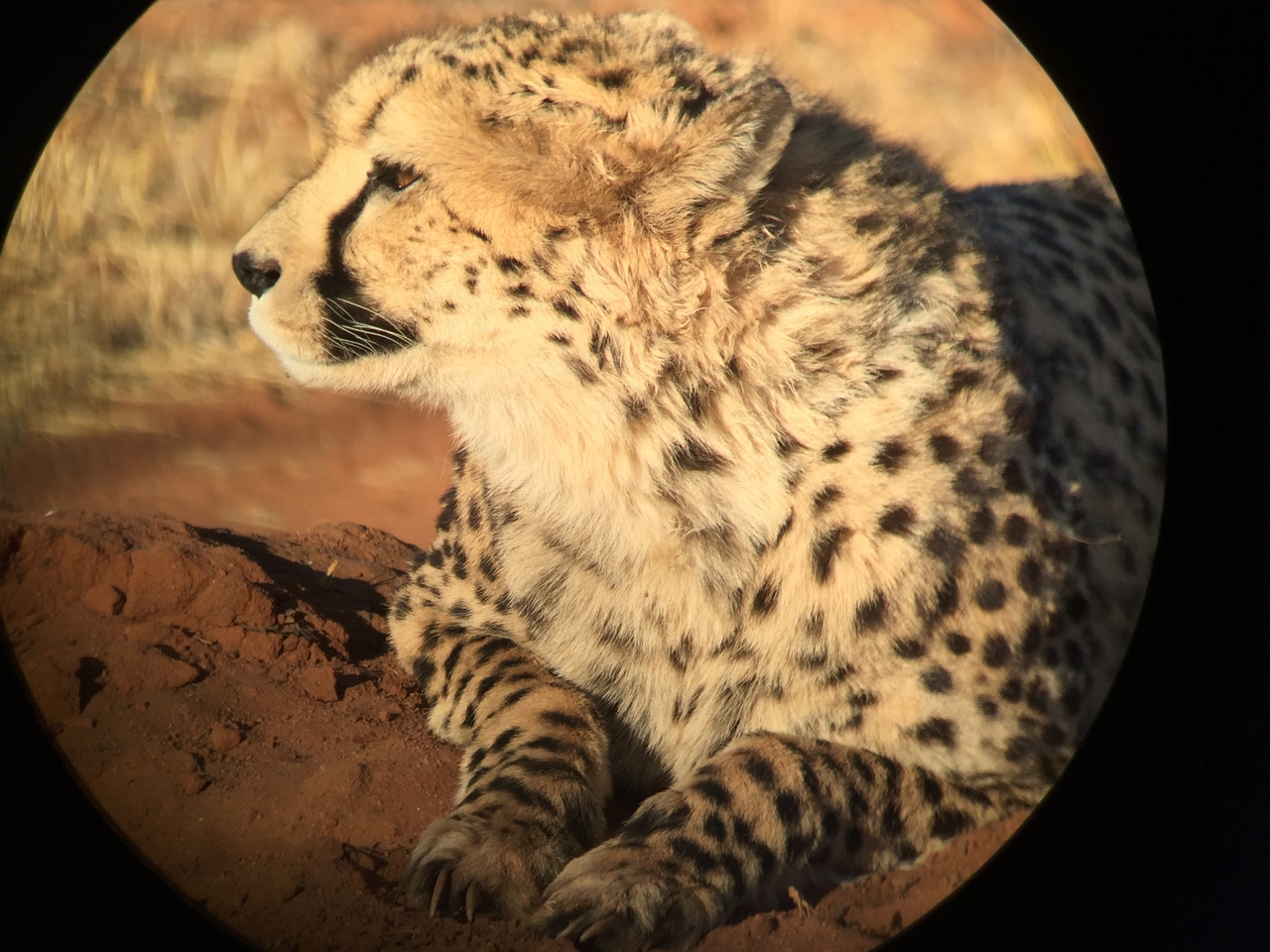 [9353] 2016_06_23_16_14_32_Africa_iPhone_6_IMG_7968_02891.jpg