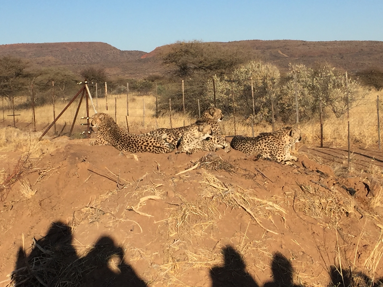[9378] 2016_06_23_16_19_48_Africa_iPhone_6_IMG_7974_02897.jpg