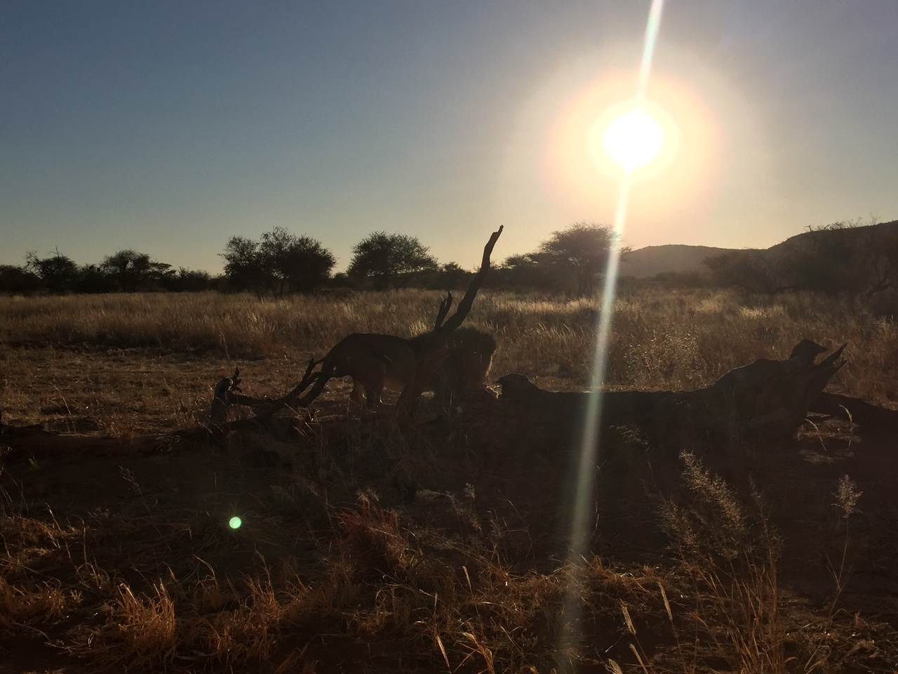 [9402] 2016_06_23_16_39_53_Africa_iPhone_6_IMG_7988_02910.jpg