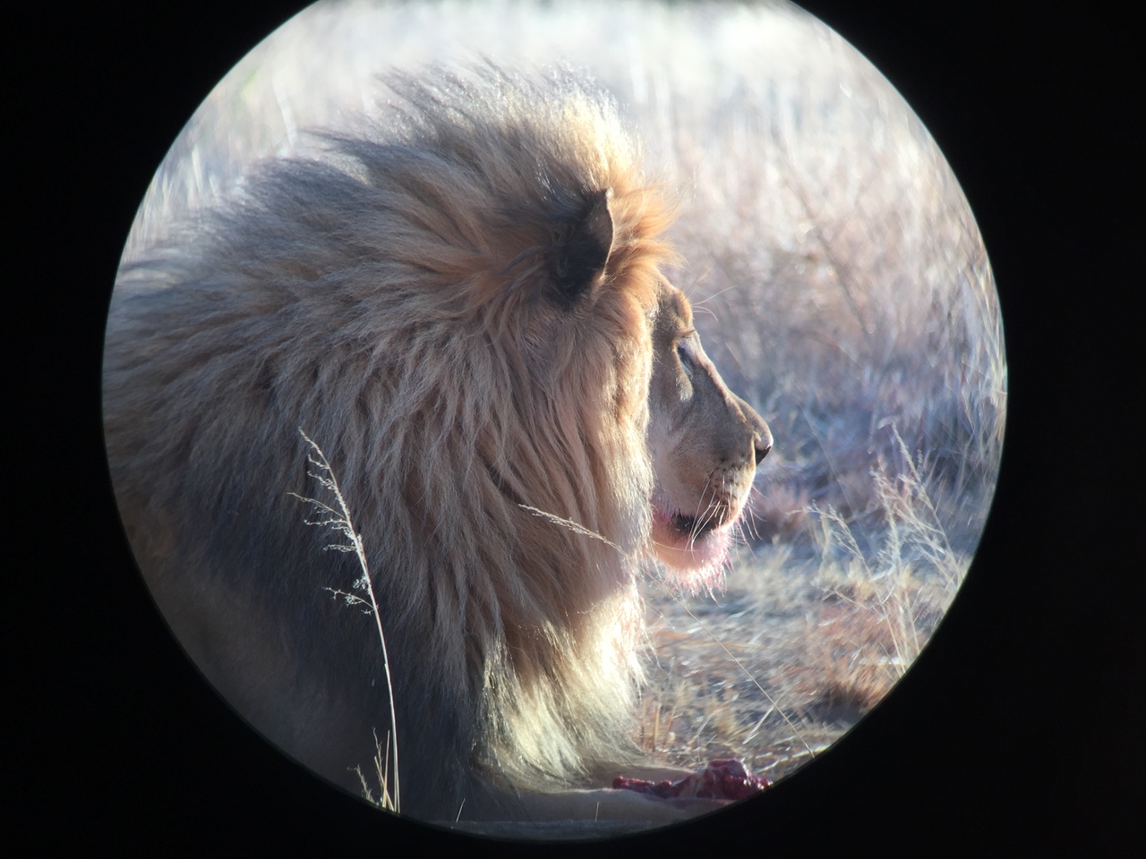 [9430] 2016_06_23_16_45_33_Africa_iPhone_6_IMG_8003_00003.jpg