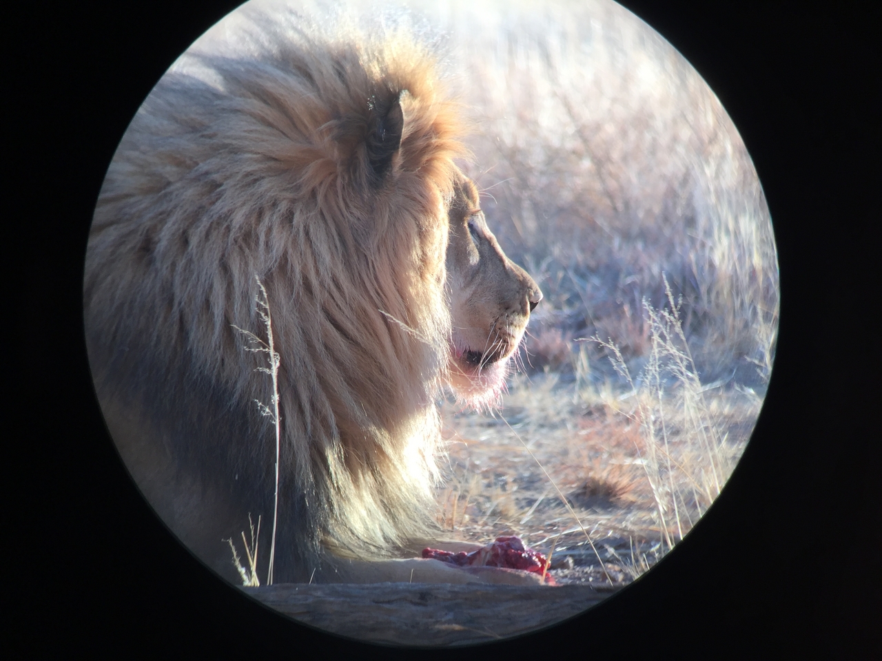 [9435] 2016_06_23_16_45_37_Africa_iPhone_6_IMG_8004_02927.jpg