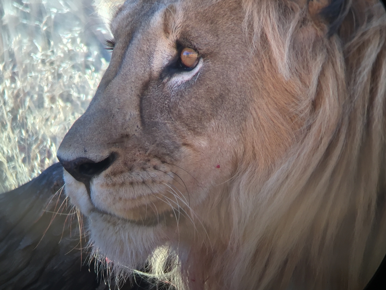 [9475] 2016_06_23_16_53_22_Africa_iPhone_6_IMG_8018_00018.jpg