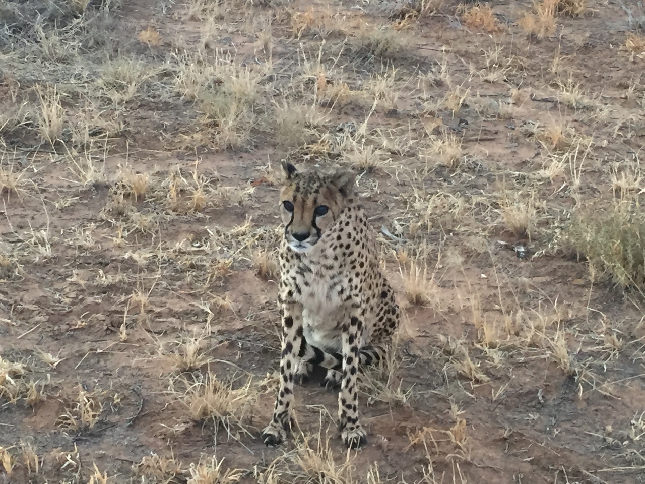 [9541] 2016_06_23_17_28_40_Africa_iPhone_6_IMG_8032_00611.jpg