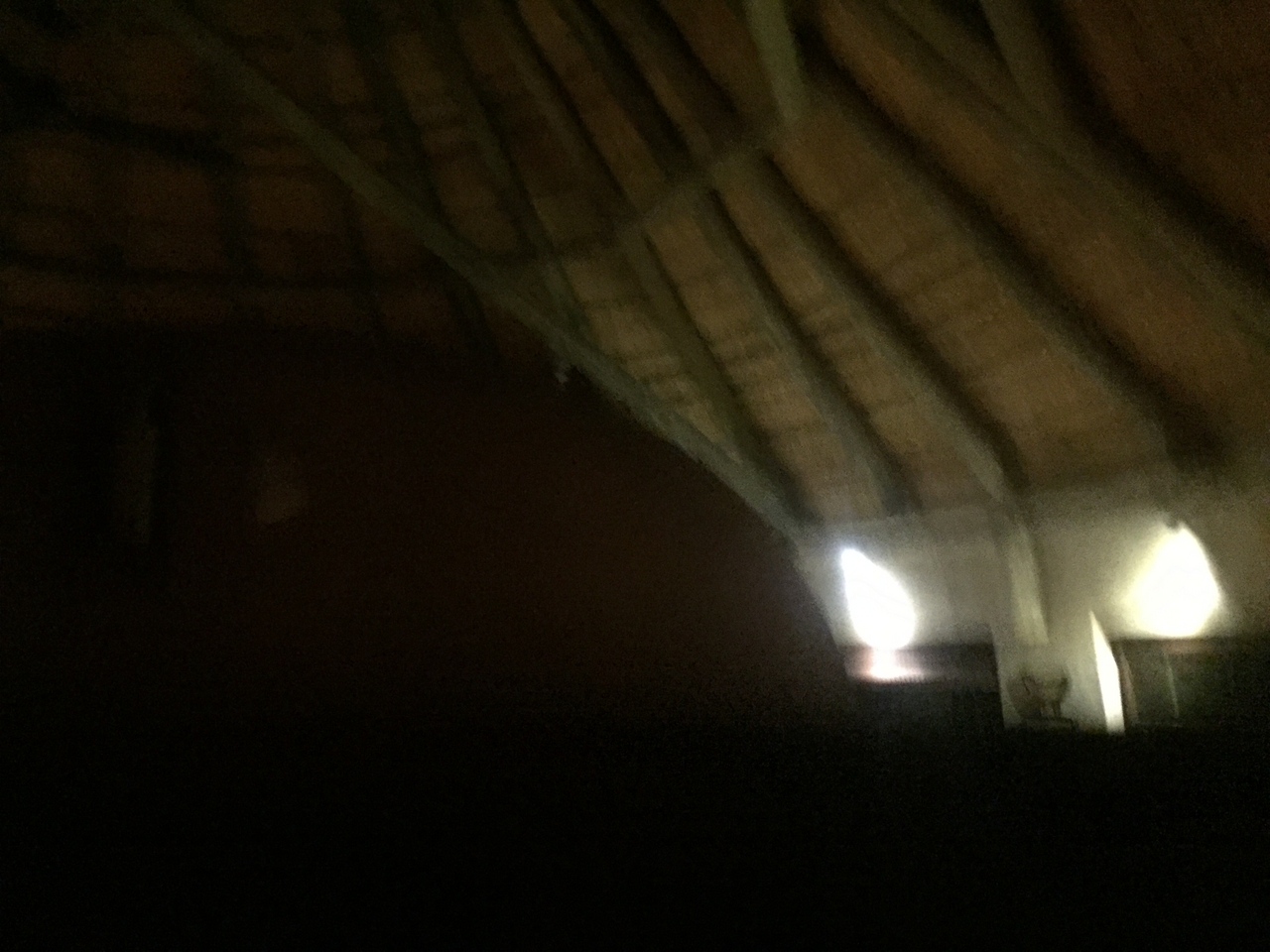 [13699] 2016_06_23_22_50_09_Africa_iPhone_6_IMG_8066_02985.jpg