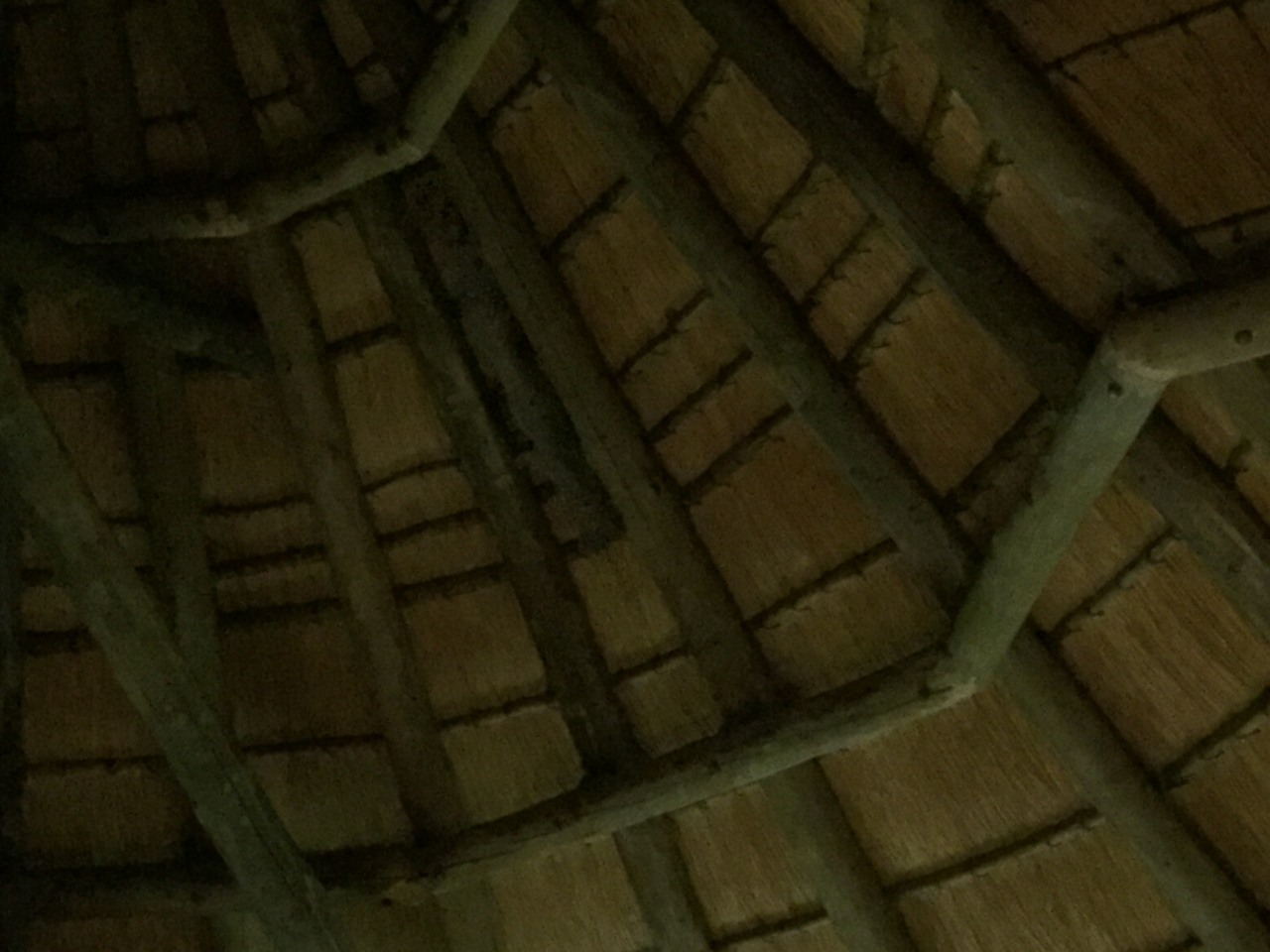 [13714] 2016_06_23_22_51_50_Africa_iPhone_6_IMG_8071_02990.jpg
