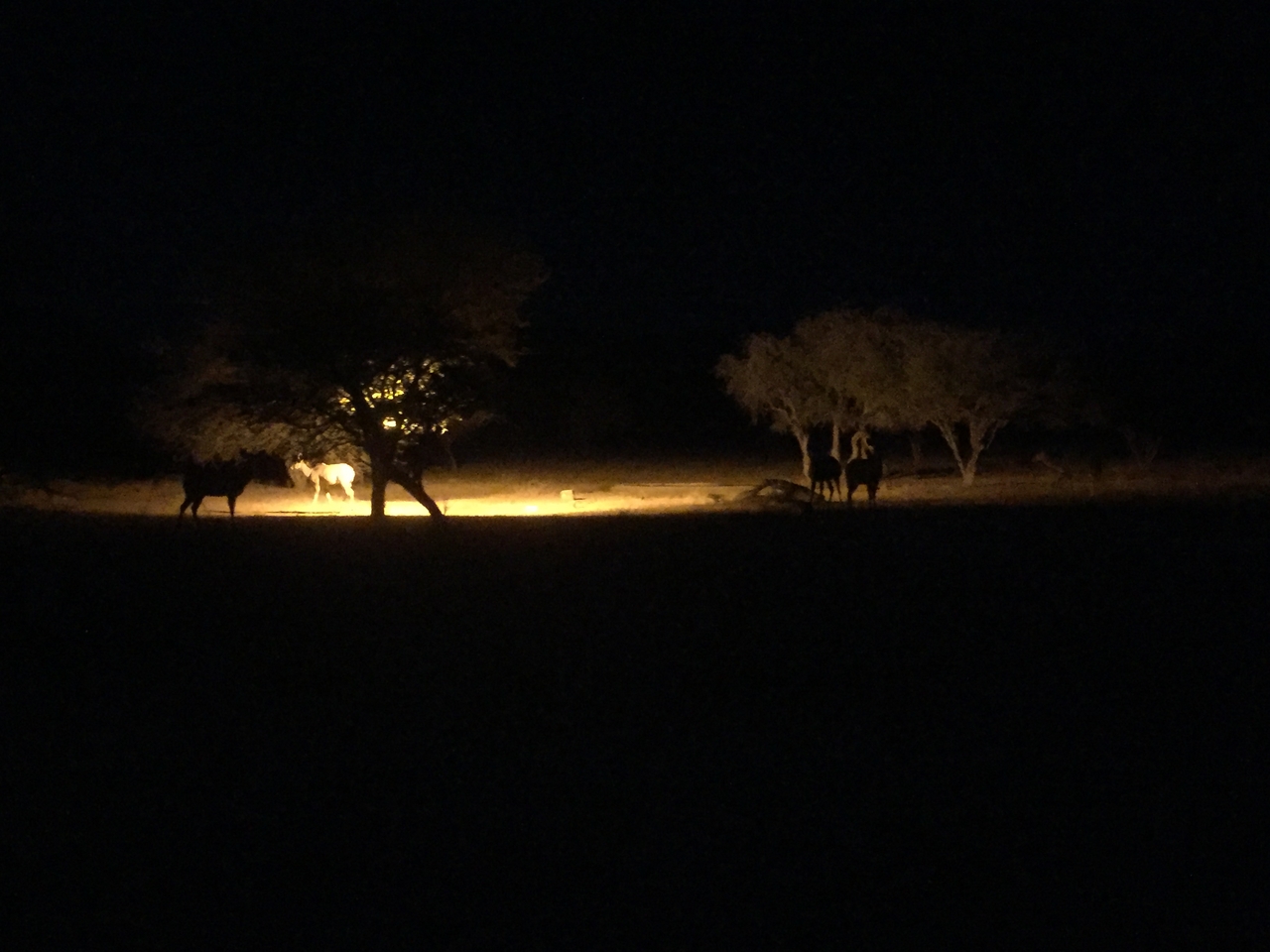 [13730] 2016_06_23_23_17_48_Africa_iPhone_6_IMG_8077_00073.jpg