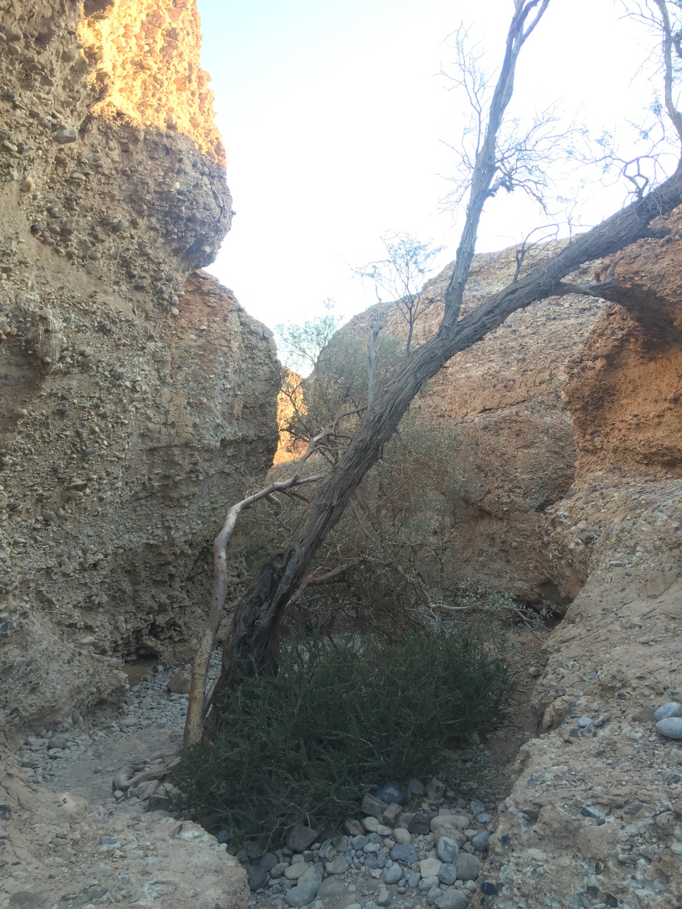 [14145] 2016_06_24_16_36_58_Africa_iPhone_6_IMG_8099_00090.jpg