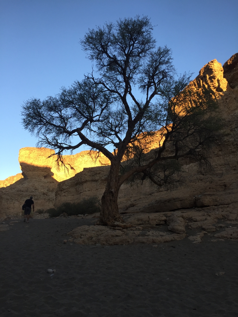 [14190] 2016_06_24_16_44_58_Africa_iPhone_6_IMG_8108_00099.jpg