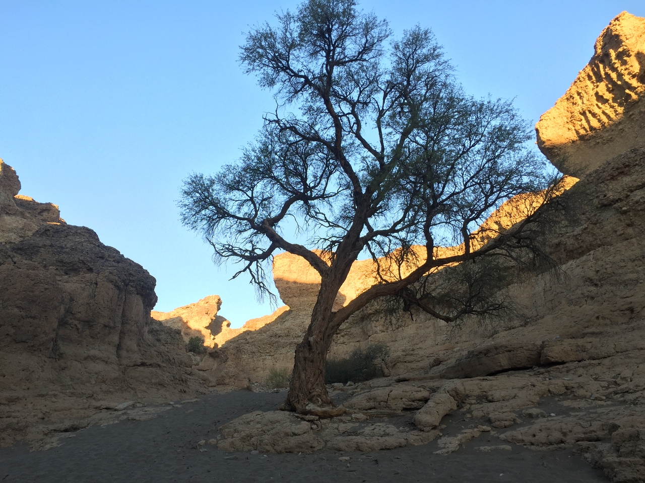 [14205] 2016_06_24_16_46_46_Africa_iPhone_6_IMG_8112_00685.jpg